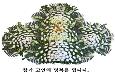 [부고] 정윤오 前  봉산면장, 정광호 前 적중면장 모친상