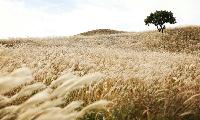 [좋은 글] “구사(九思)”로 재어보니