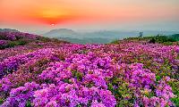 [사설] '기본소득' 은 마취제, '기업유치'가 답이다