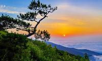 좋은 글 읽기 추천하는 글(34) 91세 청춘 비결은 '정신력'